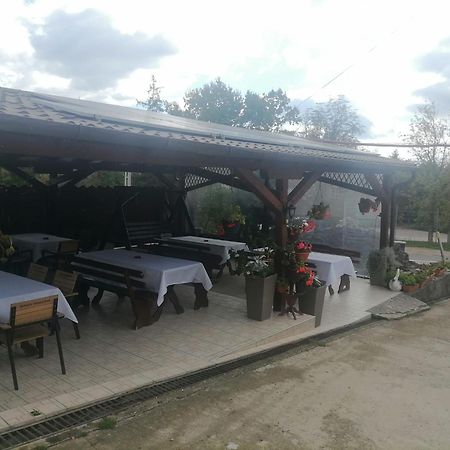Pensiunea Cetatea Boghiş エクステリア 写真